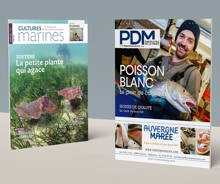 Boîte série limitée collector